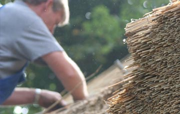 professional Tongue thatchers